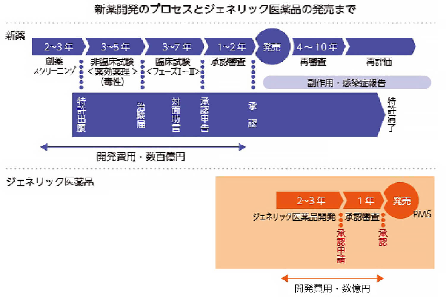 新薬開発のプロセスとジェネリック医薬品の販売まで